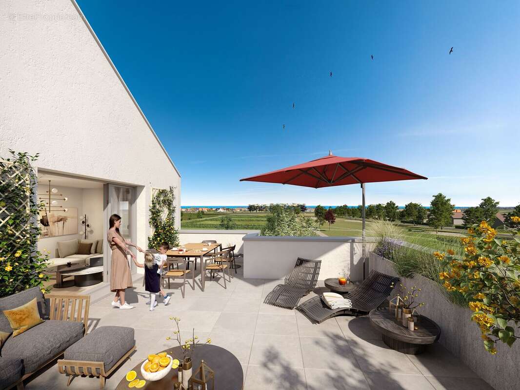 Les reflets de nacre à Courseulles Sur Mer