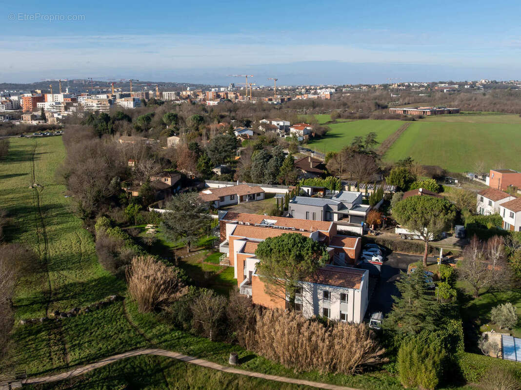 Terra verda à Toulouse