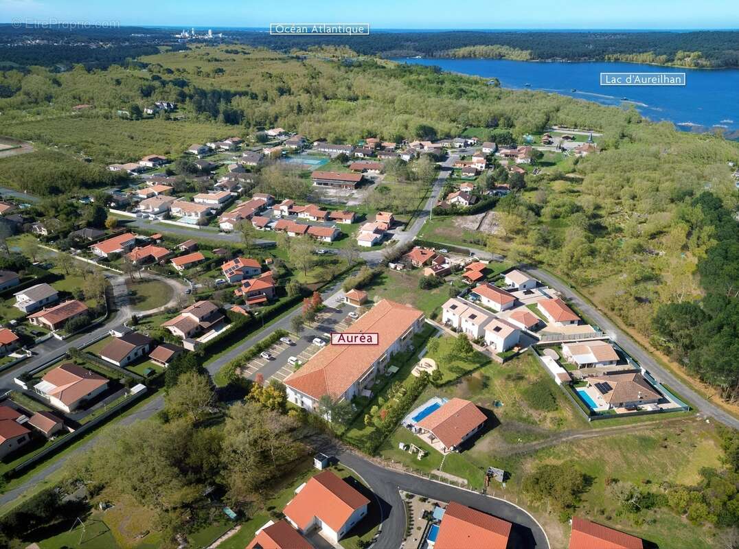 Aurea à Aureilhan