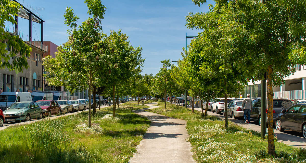 Les arcades de l&#039;althéa à Bordeaux