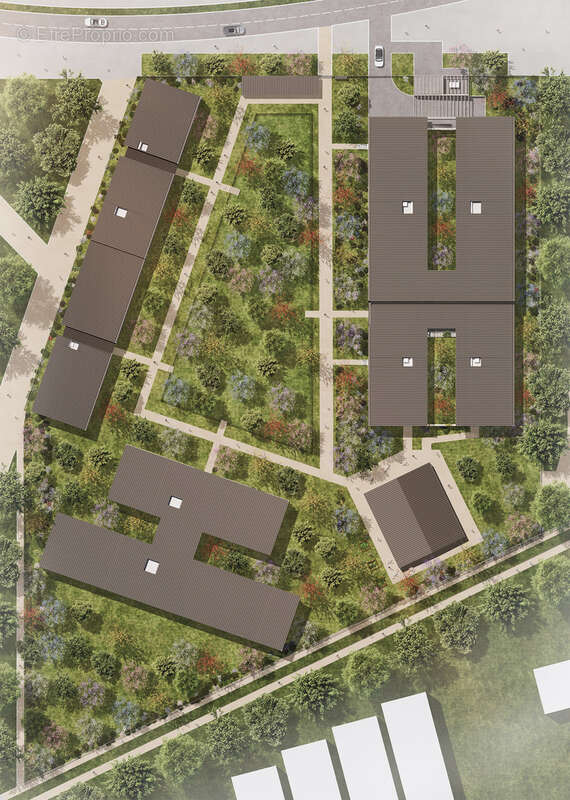 Les botanistes à Chanteloup En Brie