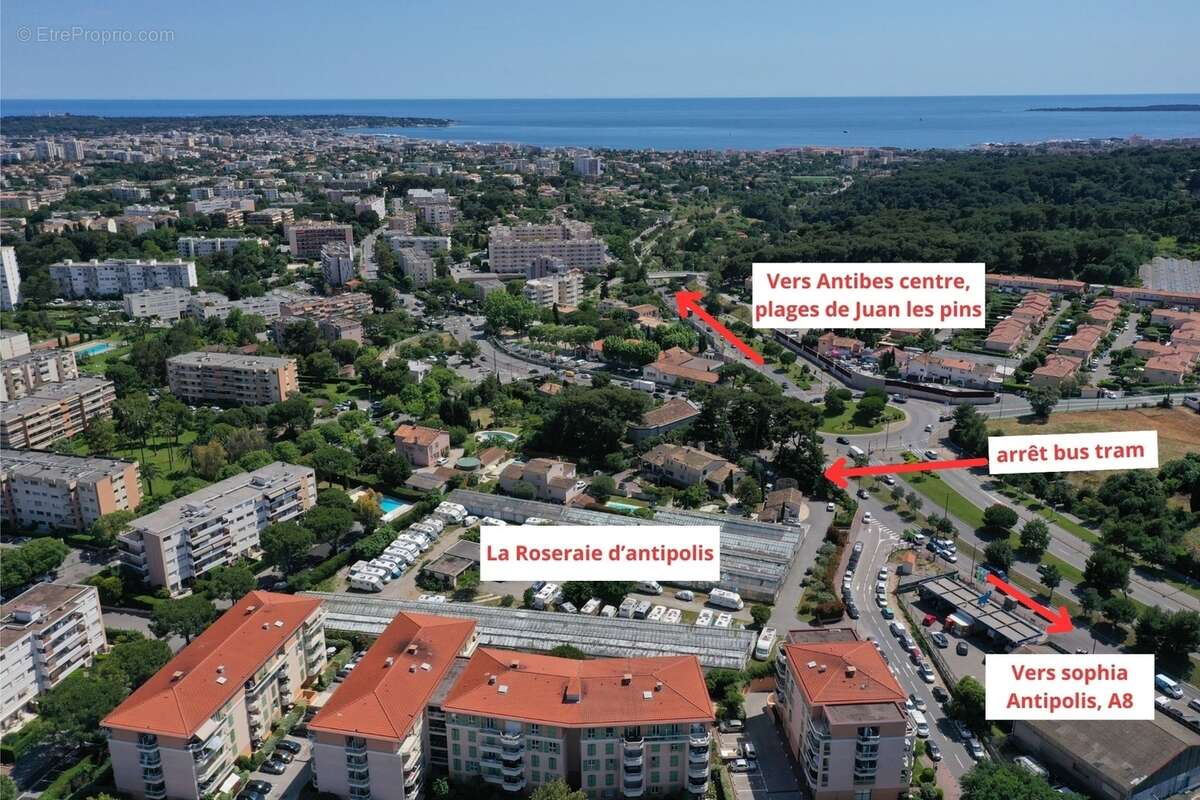 La roseraie d&#039;antipolis à Antibes