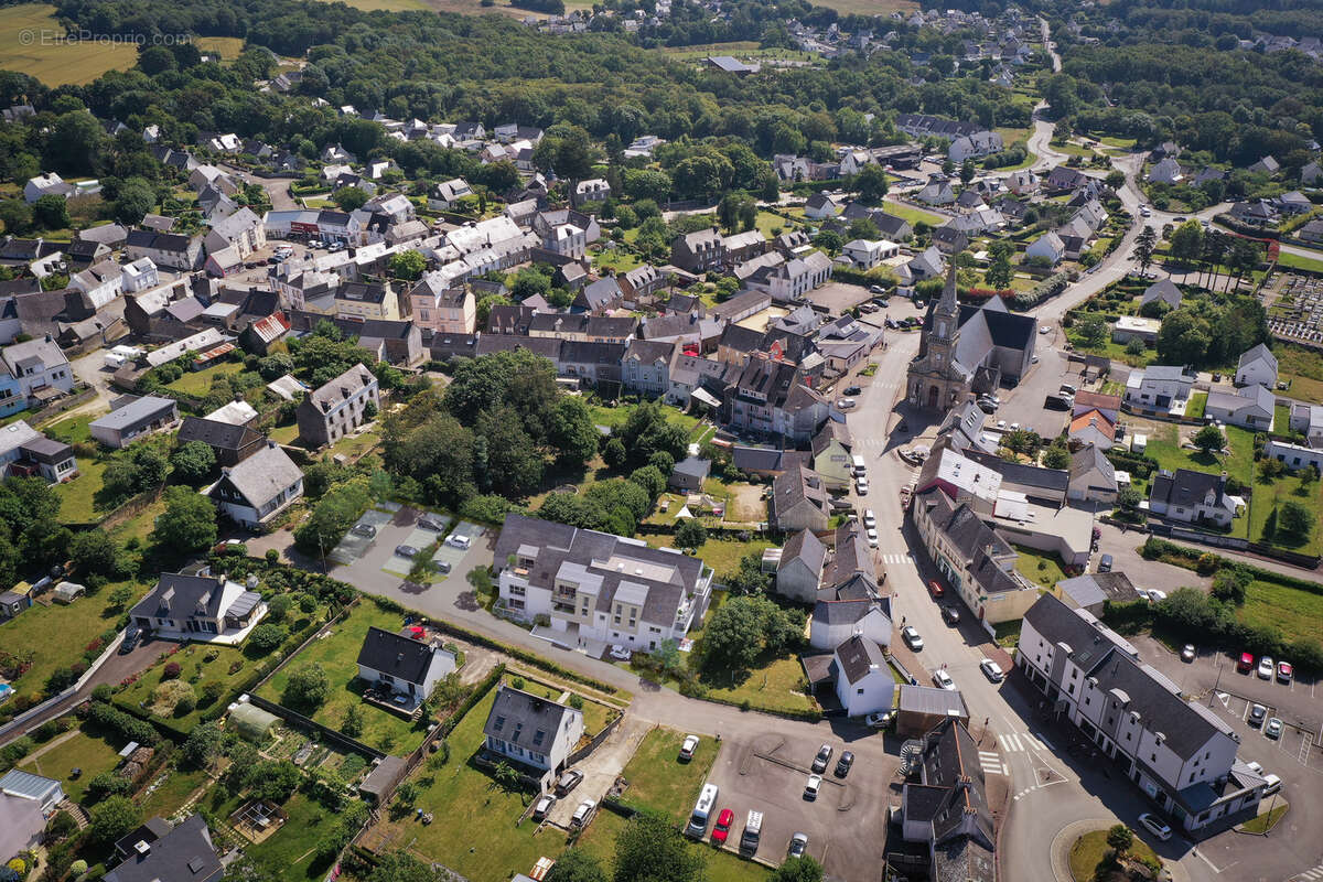 Nebka psla à Landevant