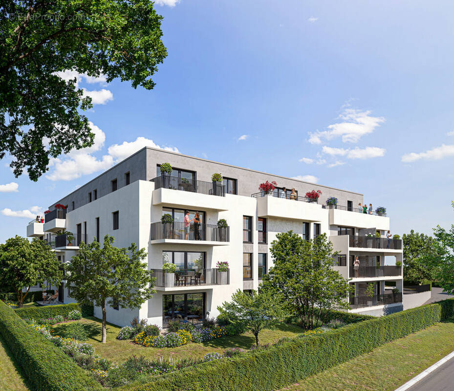 Côté helvétie à Ambilly