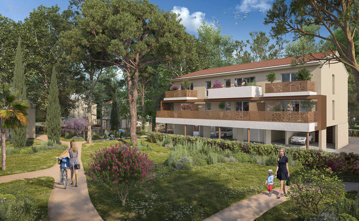 Canopée à Avignon