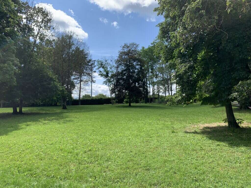 Central parc à Belleville