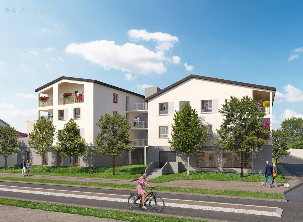 Côté saône à Neuville Sur Saone