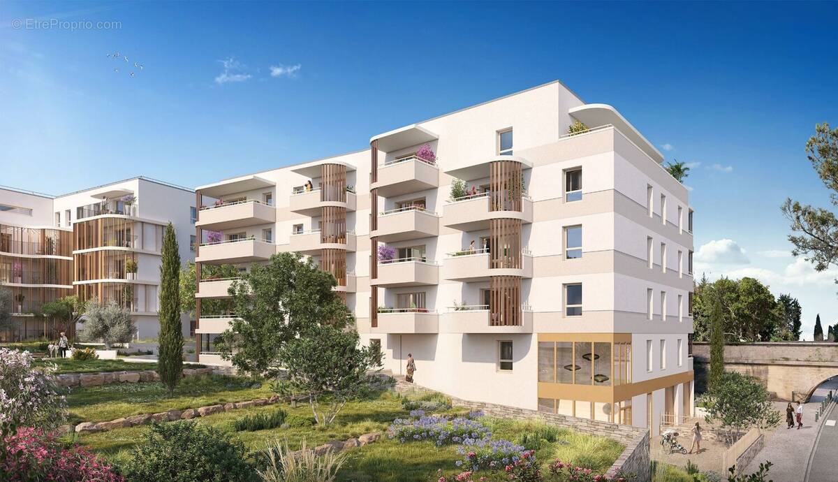 Nouveaute quartier hopitaux facultes à Montpellier