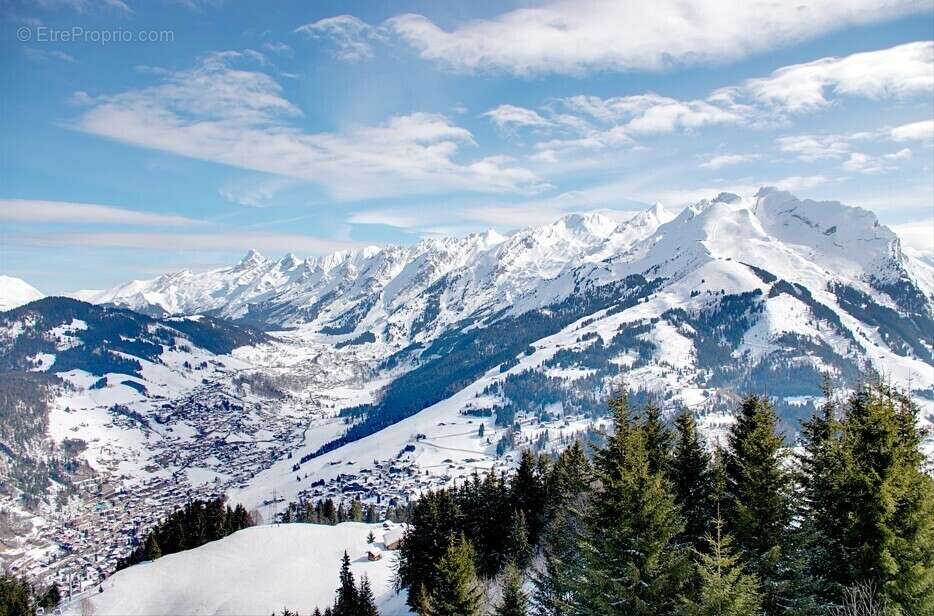 Passage de flore à Annecy