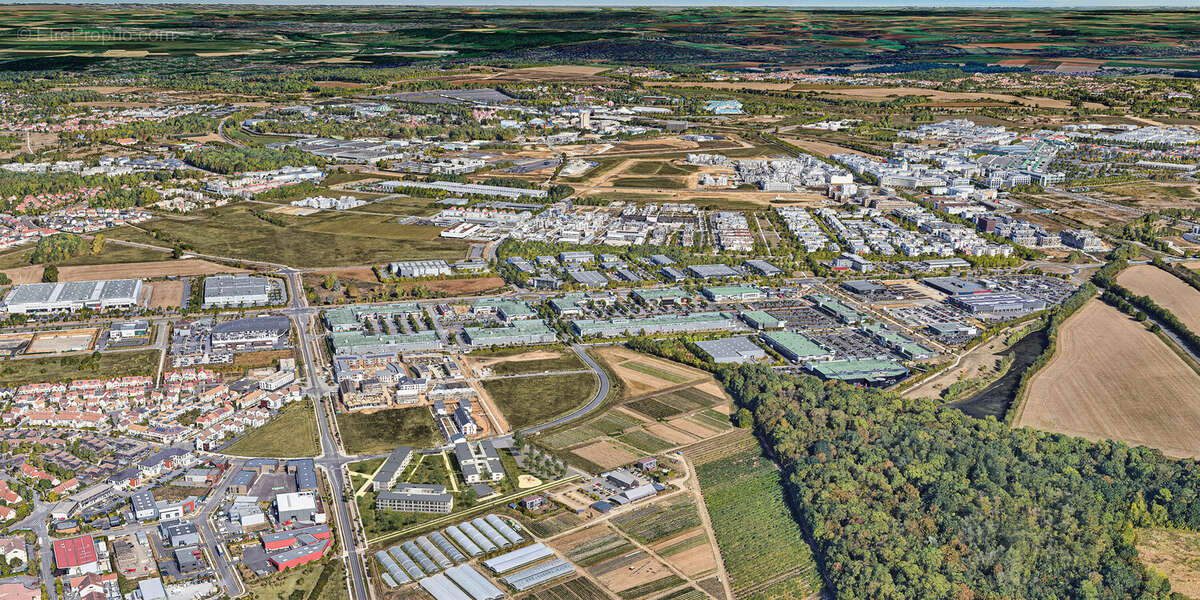 Les botanistes à Chanteloup En Brie