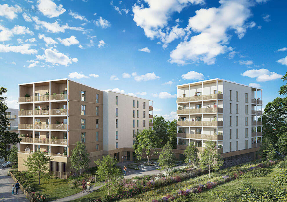 Bois lizé à Angers