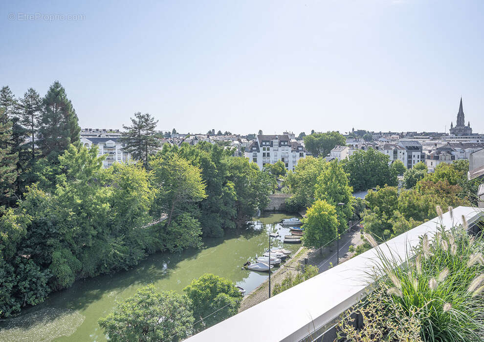 Stream à Nantes