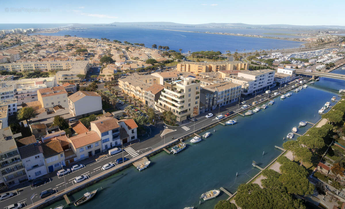 Azuri à Palavas Les Flots
