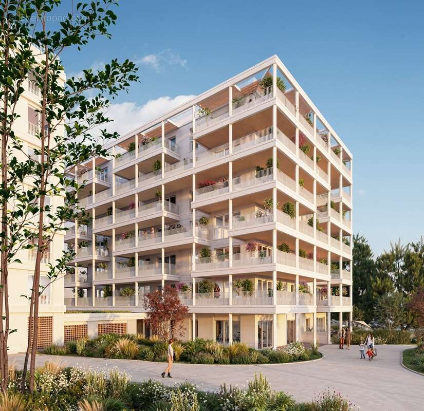 Omana à Montpellier