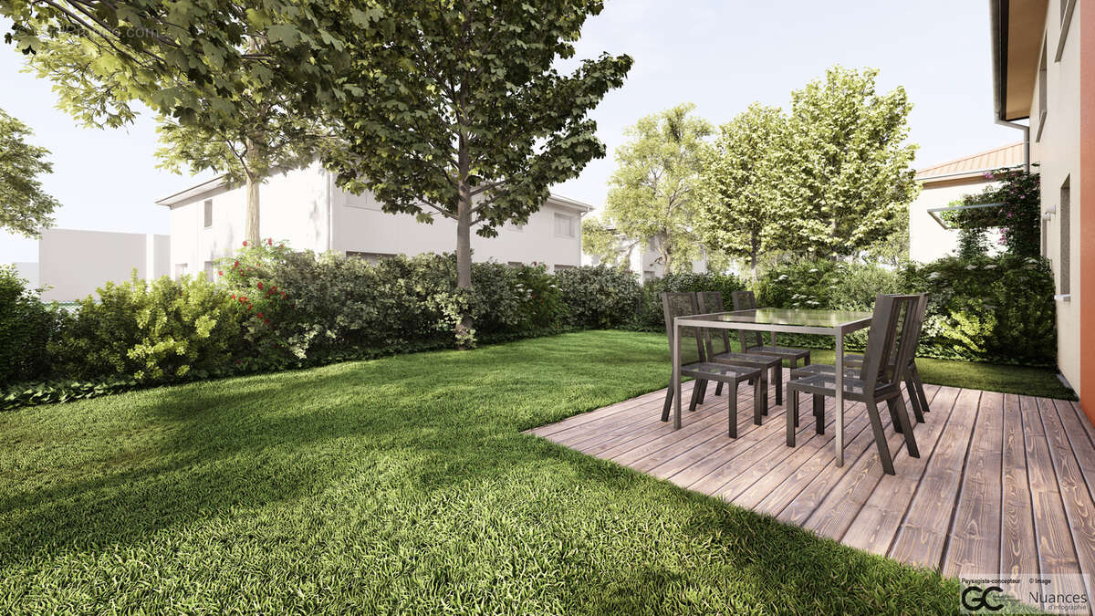 Les carrés des cèdres à Lentilly