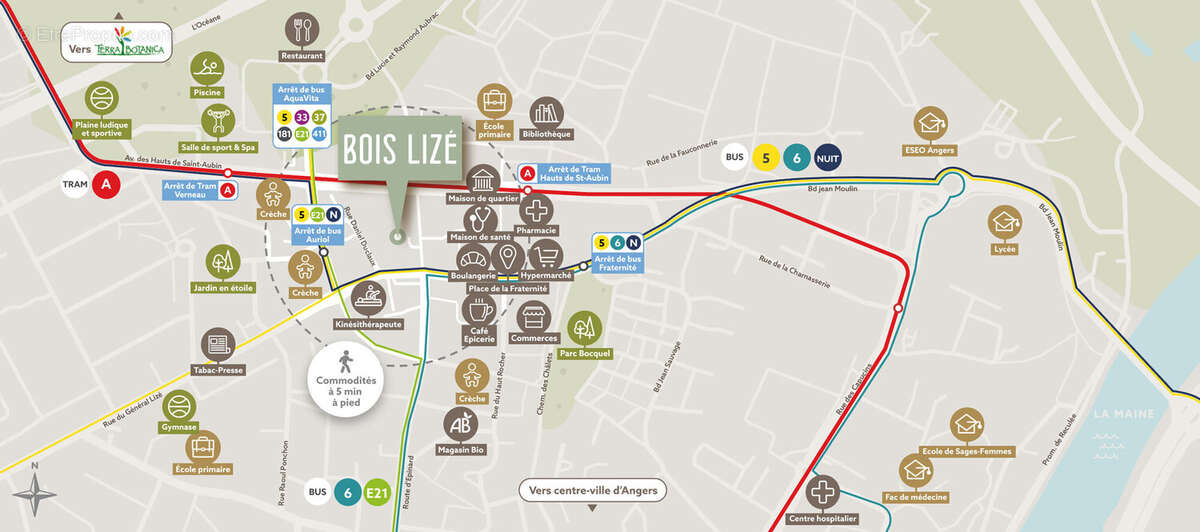 Bois lizé à Angers