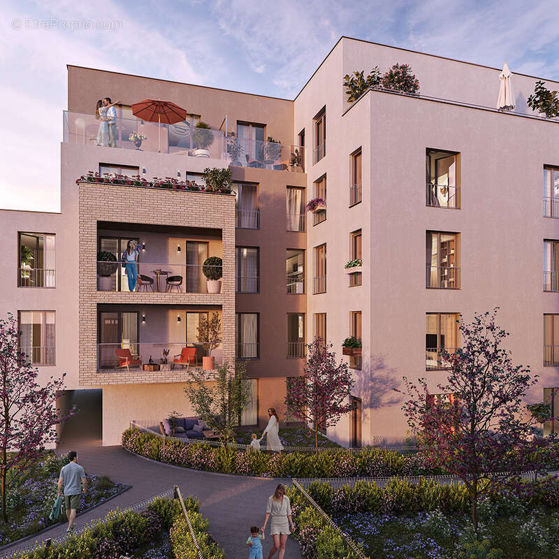 Le camélinat à Mantes La Ville