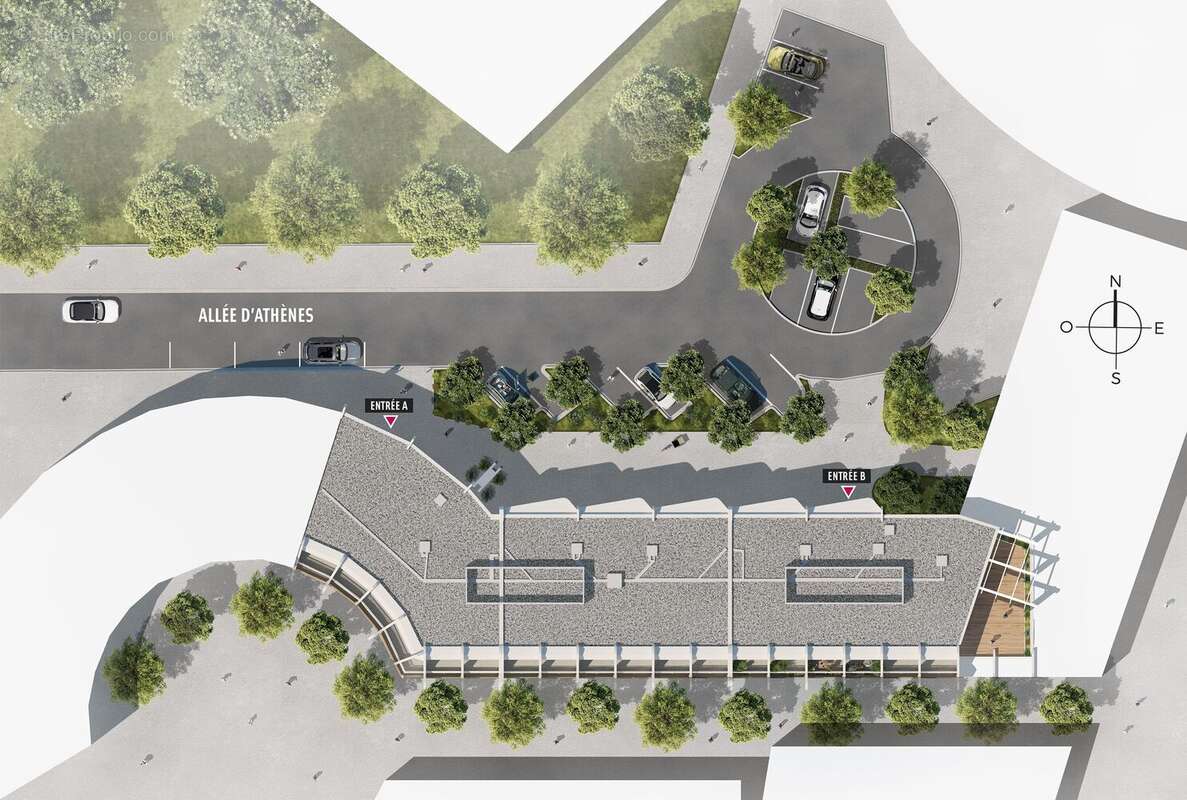 Nymphéa à La Grande Motte