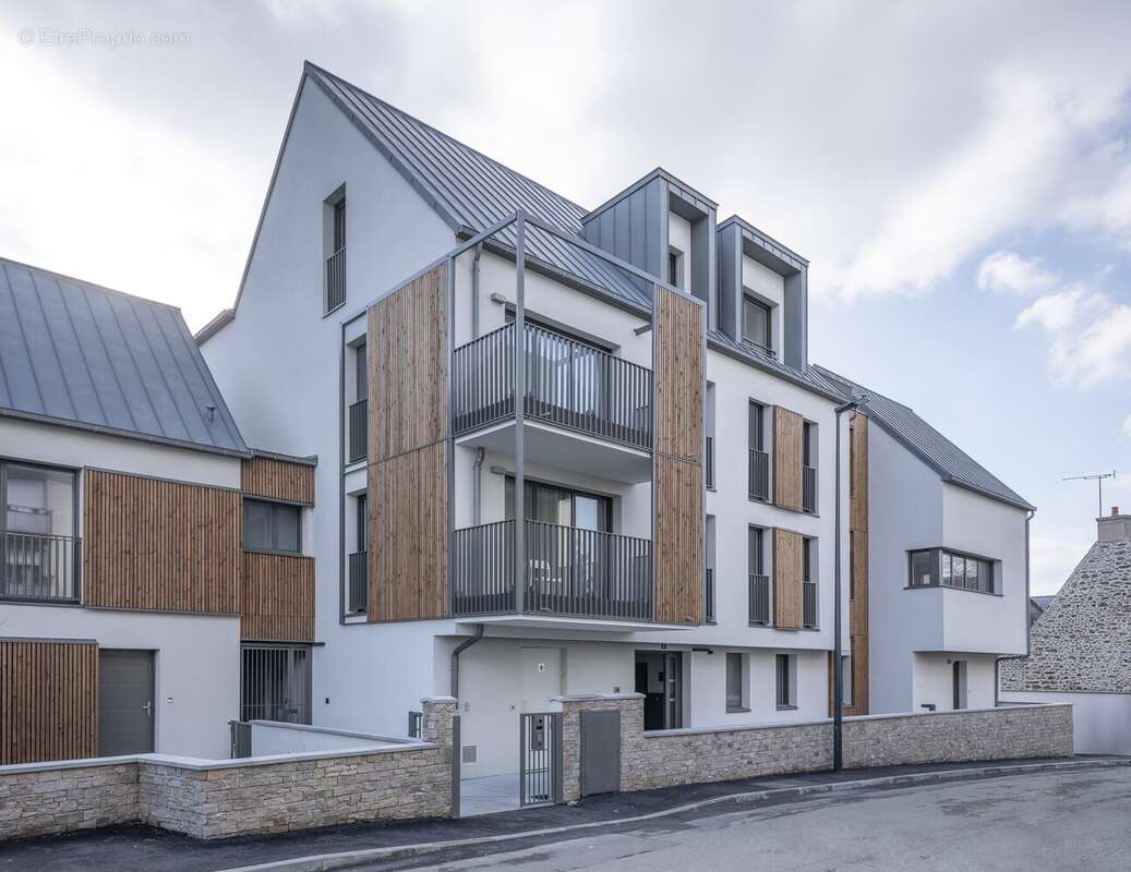 Agapanthe à St Malo