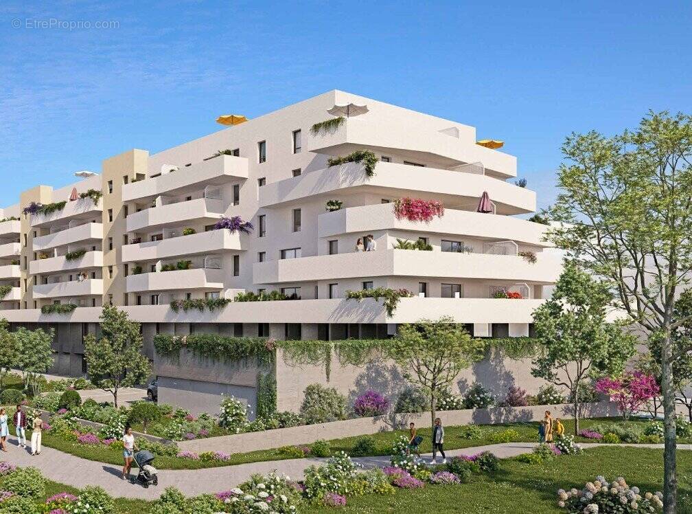 Nouveaute a sete à Sete