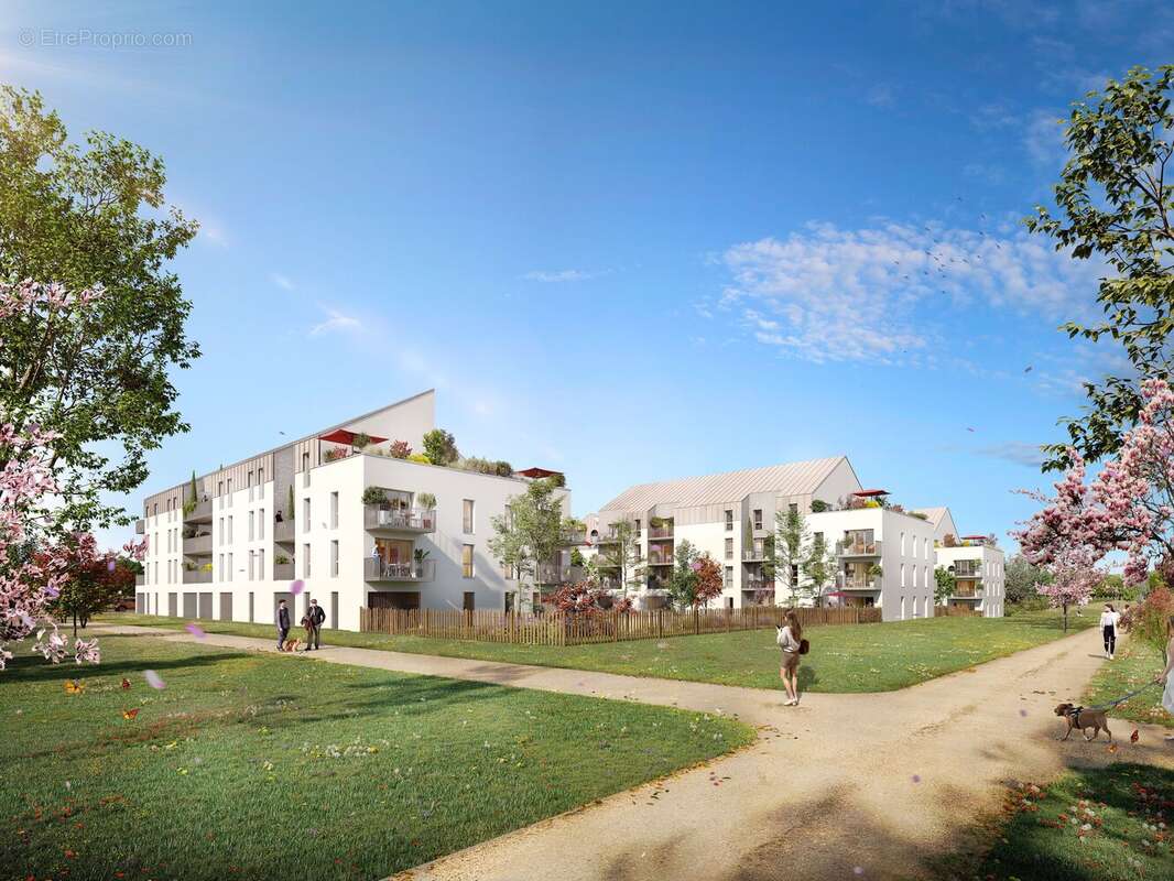 Les reflets de nacre à Courseulles Sur Mer