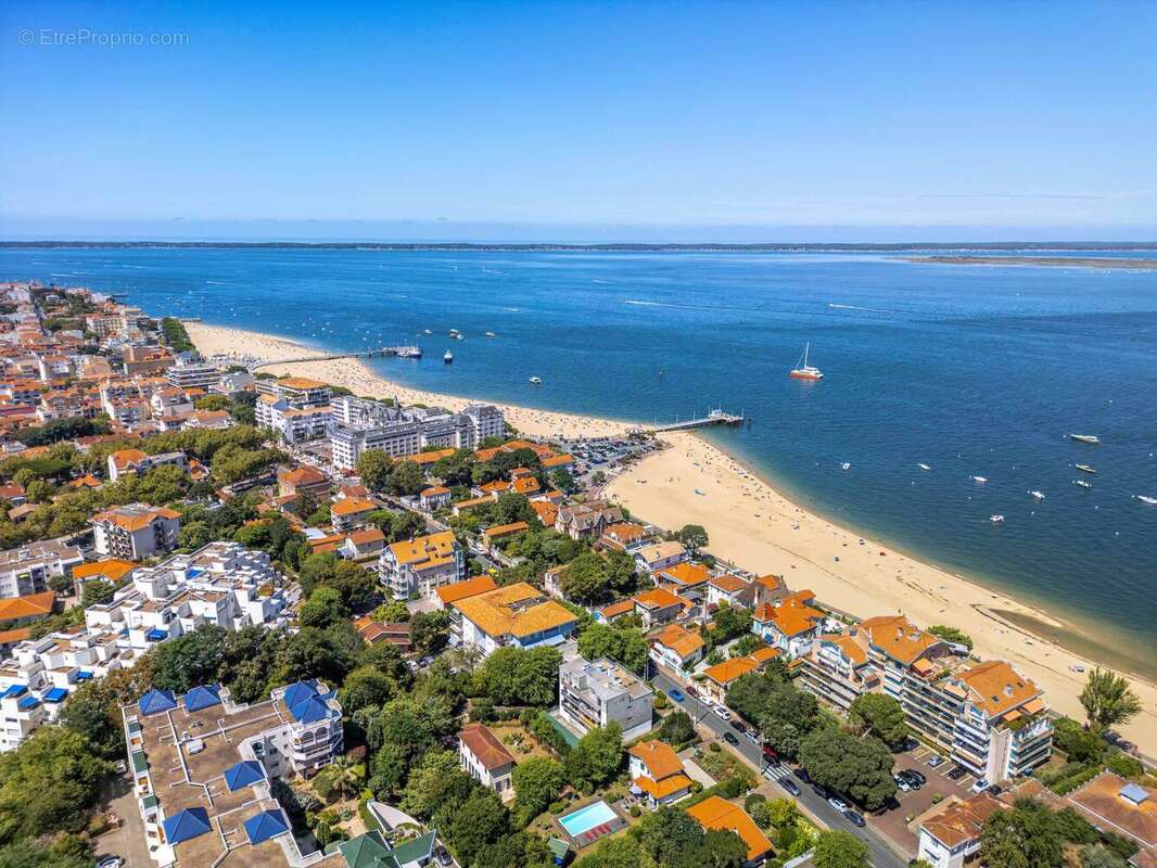 Les voiles du bassin à Arcachon