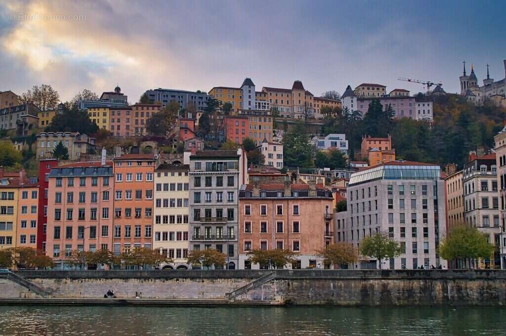 Côté saône à Neuville Sur Saone
