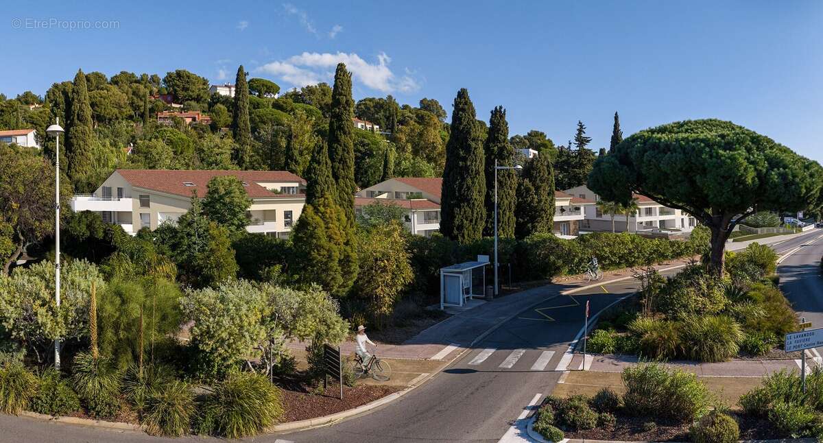 Le domaine des pins à Bormes Les Mimosas