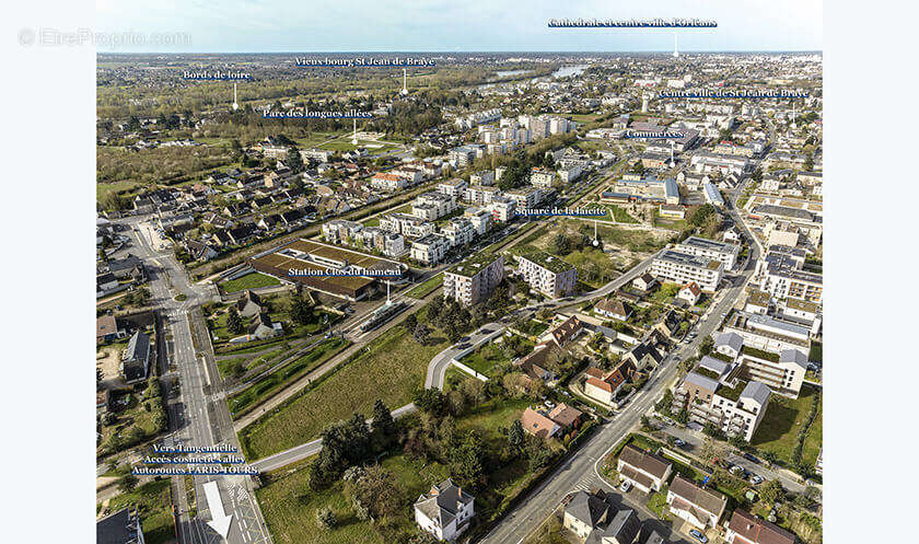 L'akébia à St Jean De Braye