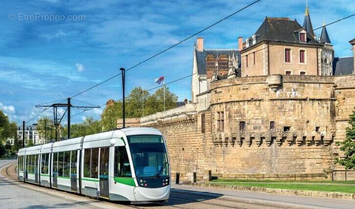 Neo verde à Orvault