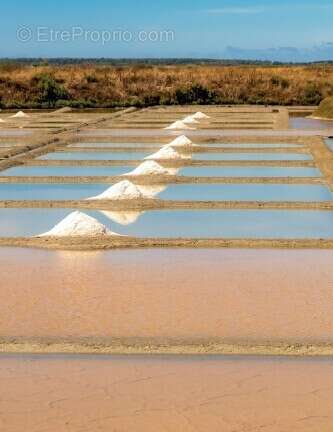 Les salines à Guerande