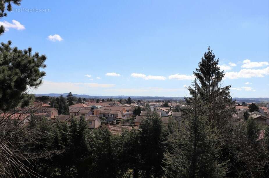 Le matisse à Corbas