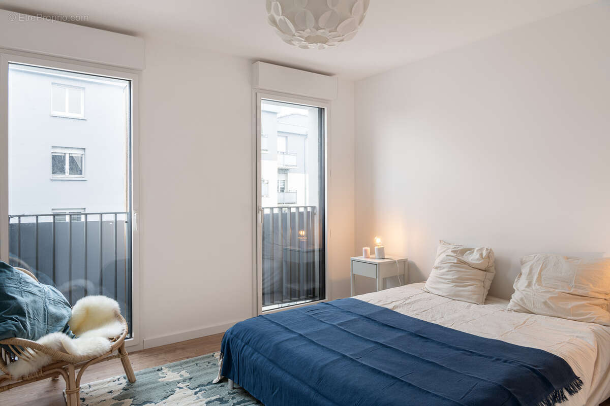 Agapanthe à St Malo