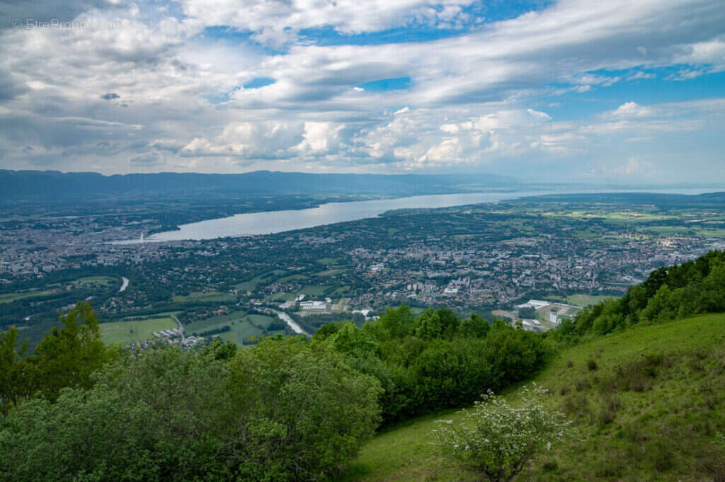 Côté géline à Annemasse