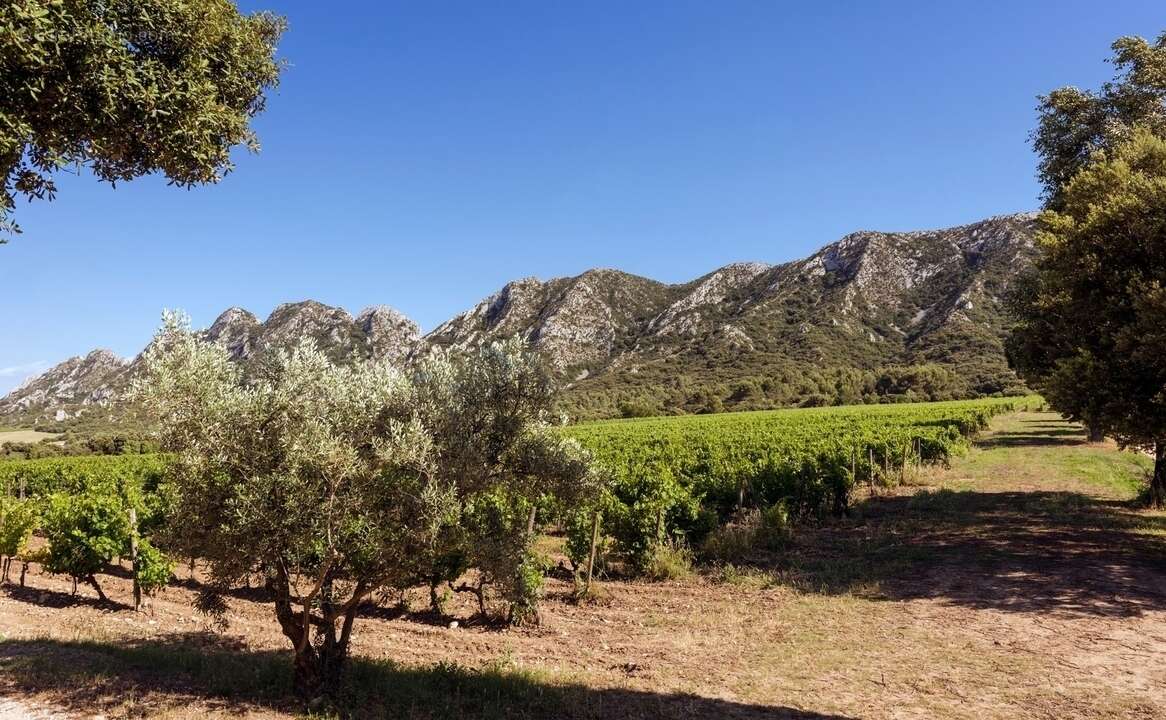 Les villas domaine de vallat à St Remy De Provence