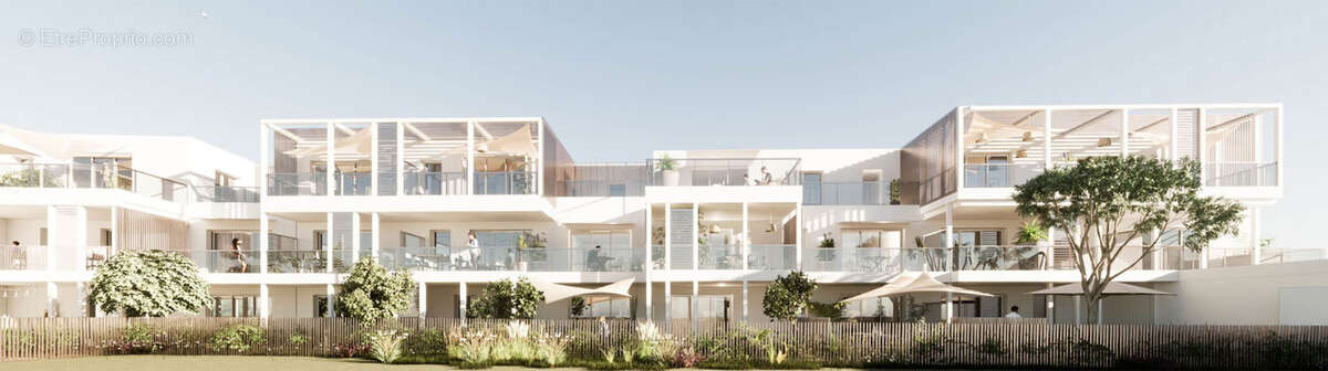 La marjolaine à La Turballe