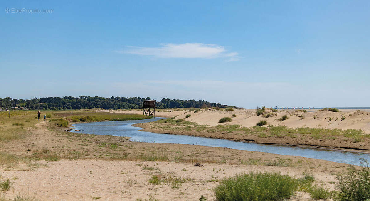 Albatros à St Brevin Les Pins