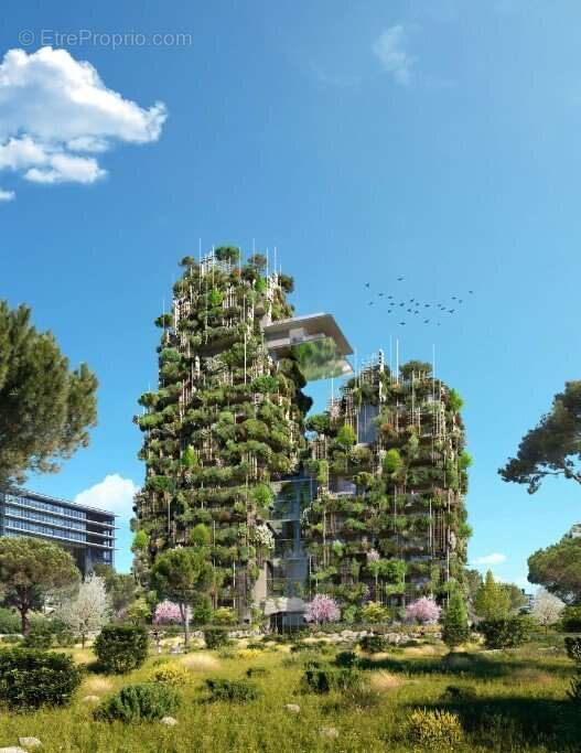 Notre coup de coeur hotel de ville à Montpellier