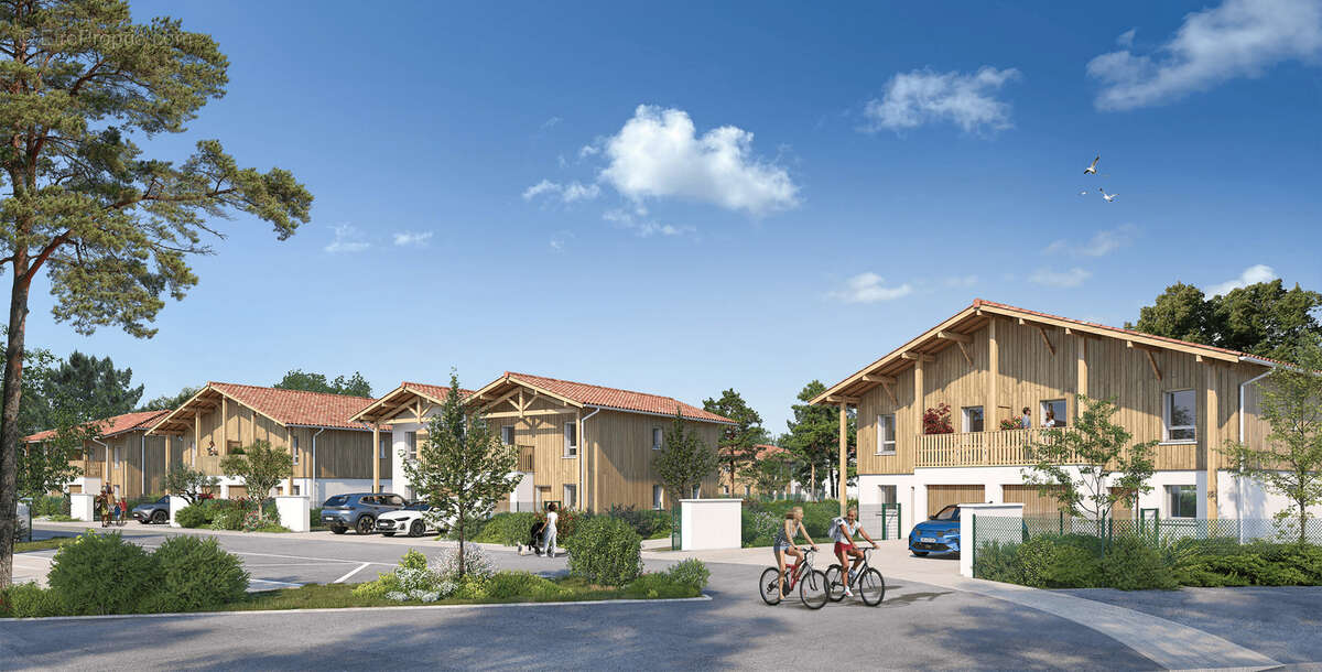 Terre des landes à Seignosse