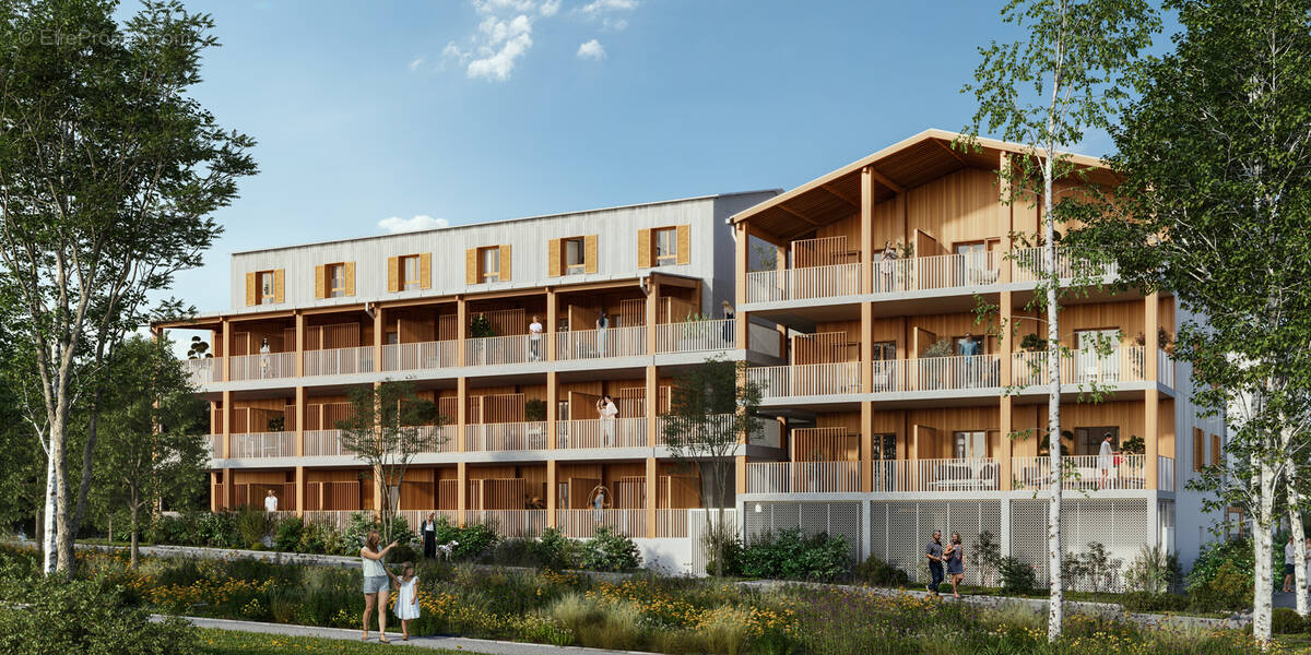 Les sarments à Gargenville