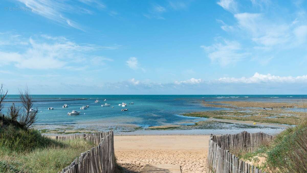 Arénaria à St Georges D Oleron