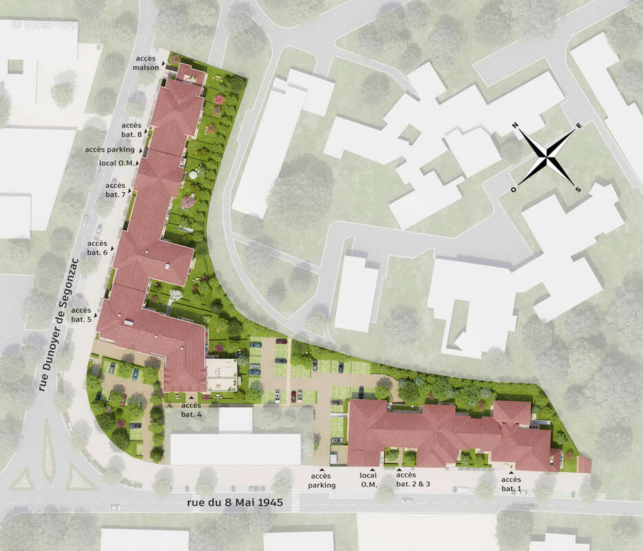 Tilia à La Queue En Brie