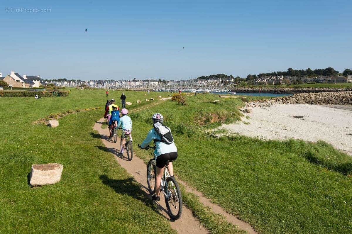 Fleur ocean à Erdeven