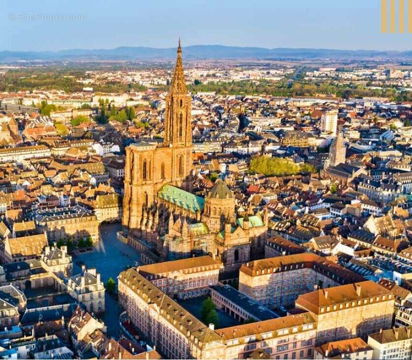Campus  starlette à Strasbourg