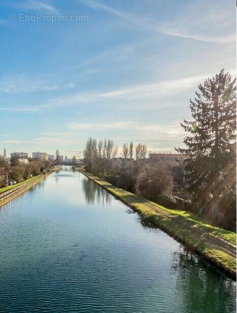 Les jardins sophoras à Bischheim