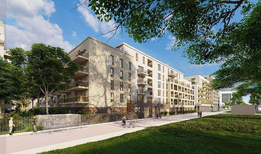 Origine franc rosier à Clermont Ferrand