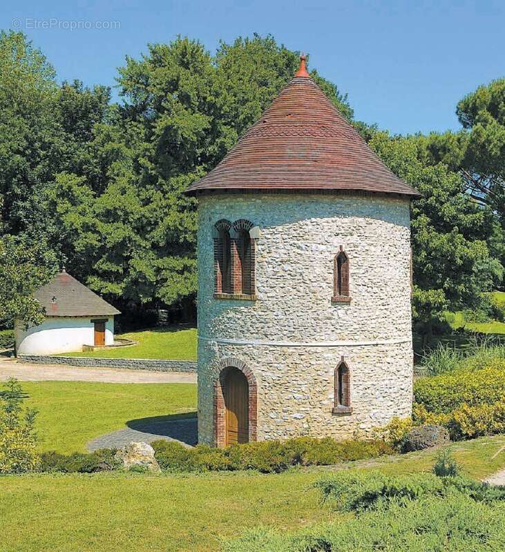 Le camélinat à Mantes La Ville