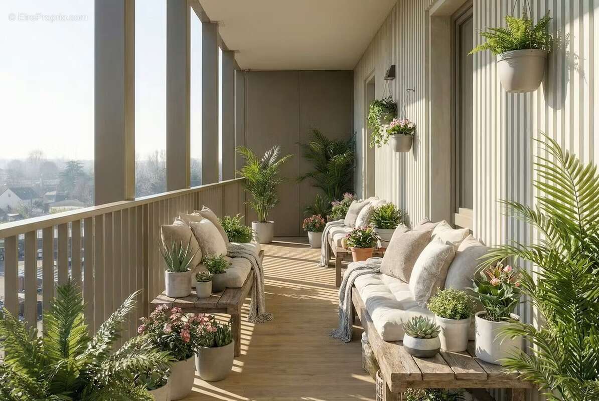 Euphorbia à Merignac