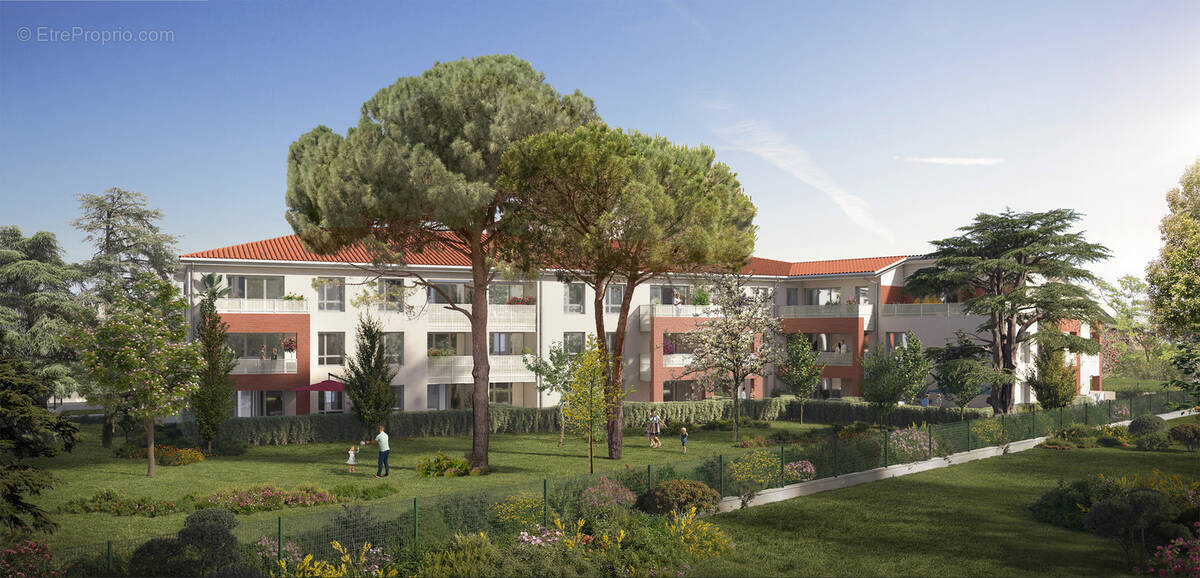 Le sycomore à Toulouse