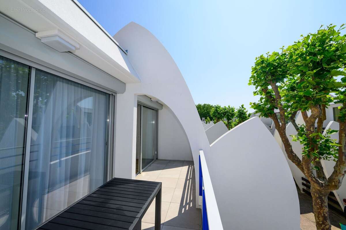 Nymphéa à La Grande Motte